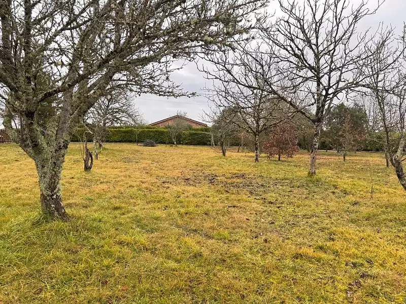 Terrain à bâtir, 1 250 m² - Mensignac (24350)