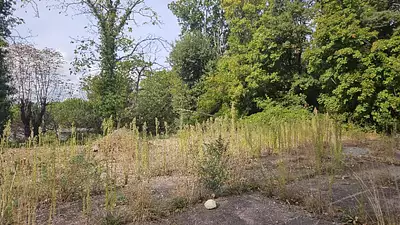 Terrain à bâtir, 884 m²