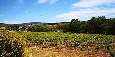 Terrain à bâtir, 449 m²