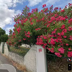 Maison neuve, 130 m²