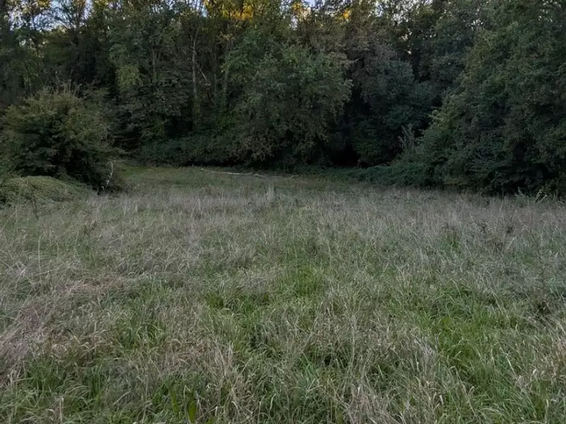 Maison neuve, 80 m² - Colayrac-Saint-Cirq (47450)