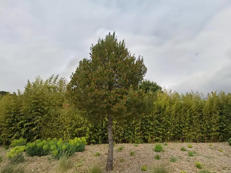 Terrain à bâtir, 800 m² - Fos-sur-Mer (13270)