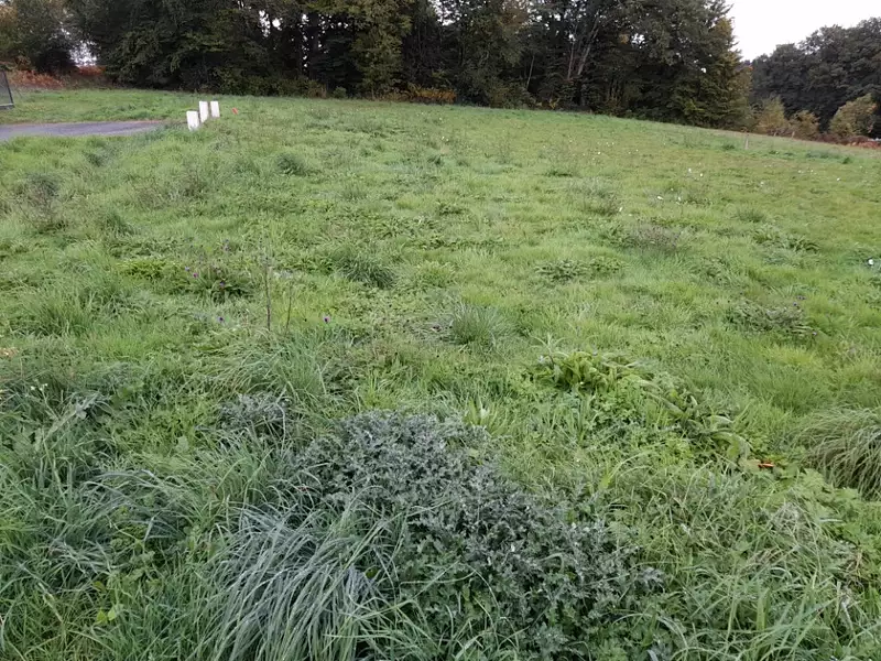 Maison neuve, 107 m² - Couzeix (87270)