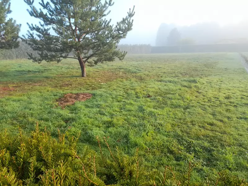 Terrain à bâtir, 1 700 m² - Couzeix (87270)