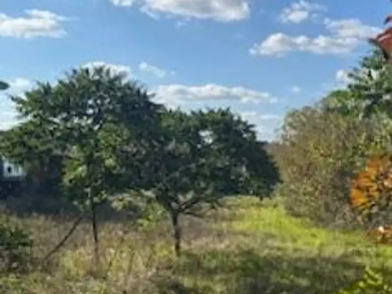 Terrain à bâtir, 860 m² - Ambarès-et-Lagrave (33440)