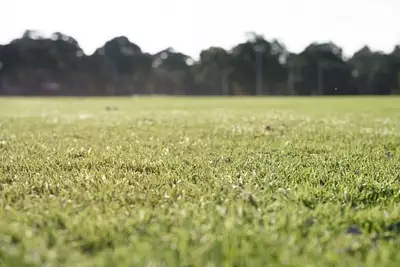 Maison neuve, 90 m²