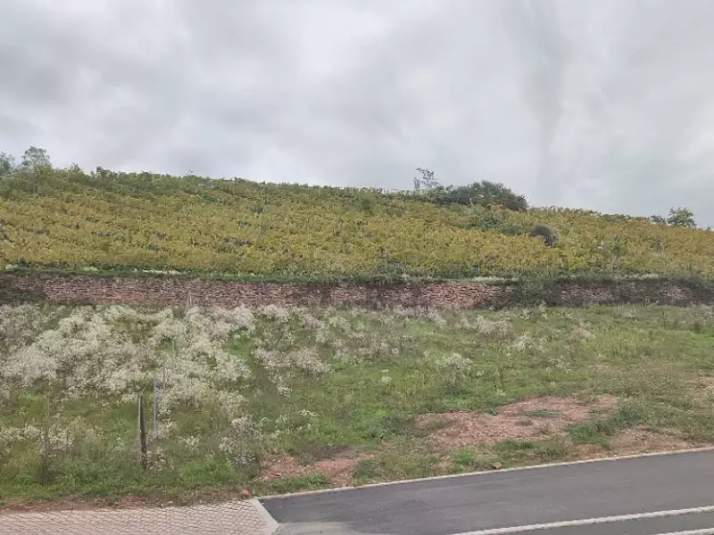 Terrain à bâtir, 390 m² - Katzenthal (68230)