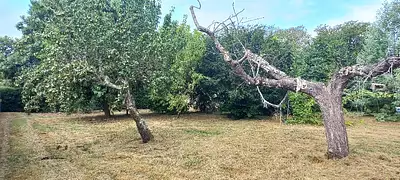 Terrain à bâtir, 830 m²