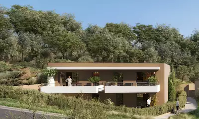 Le clos des oliviers