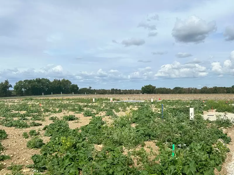 Terrain à bâtir, 356 m² - Saint-Jean-de-Liversay (17170)