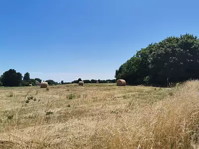 Terrain à bâtir, 603 m²