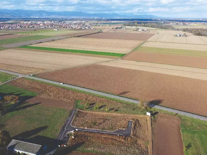 Les Vignes - Niederhergheim (68127)