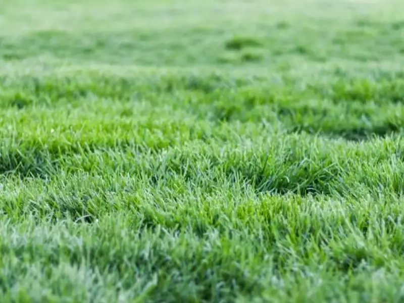 Terrain à bâtir, 1 100 m² - Saint-Martin-aux-Chartrains (14130)
