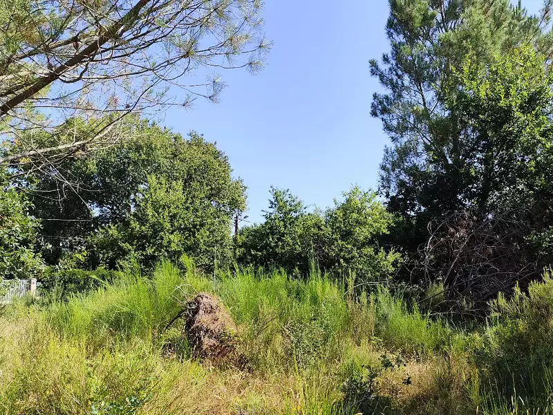 Terrain à bâtir, 700 m² - Vendays-Montalivet (33930)