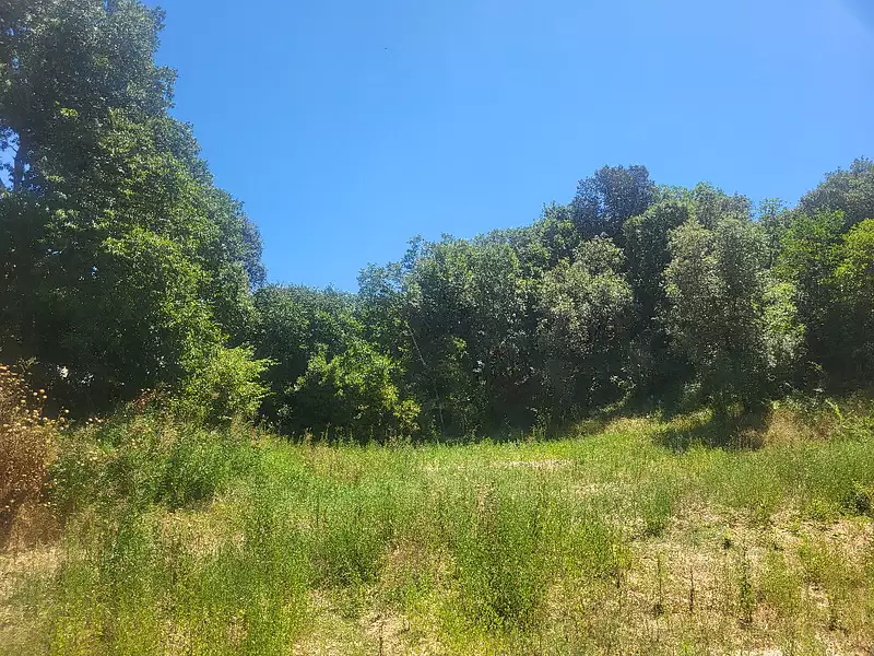 Maison neuve, 160 m² - Dions (30190)