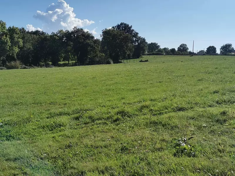 Maison neuve, 112 m² - Le Breuil (03120)