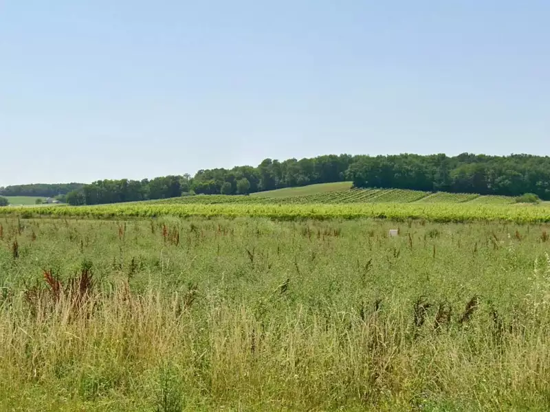 Terrain à bâtir, 771 m² - Sigoulès-et-Flaugeac (24240)