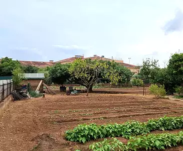 Maison neuve, 105 m²