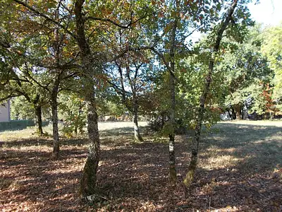 Terrain à bâtir, 1 650 m²