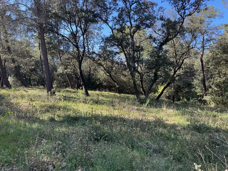 Terrain à bâtir, 344 m² - Suze-la-Rousse (26790)