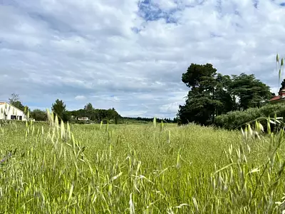 Maison neuve, 85 m²