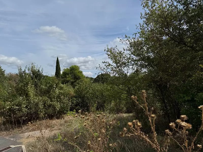 Maison neuve, 120 m² - Montpellier (34000)