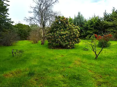 Maison neuve, 87 m²