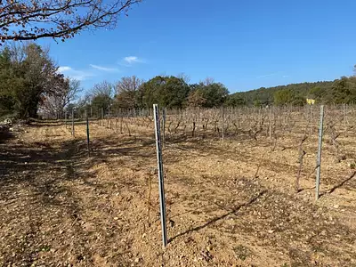 Terrain à bâtir, 1 519 m²