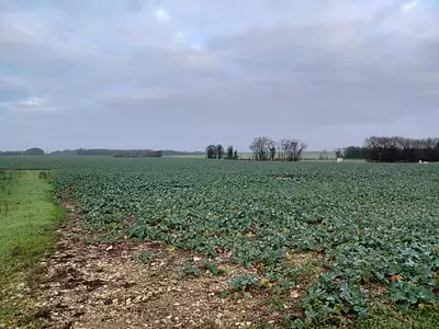 Terrain à bâtir, 300 m²