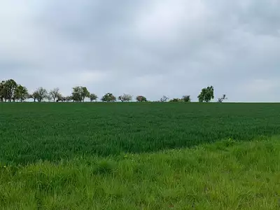 Maison neuve, 110 m²