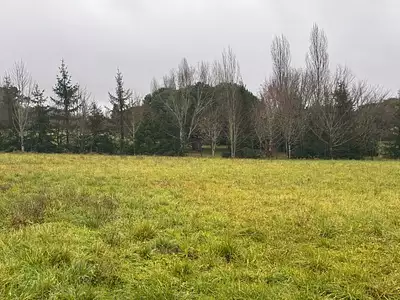 Maison neuve, 80 m²