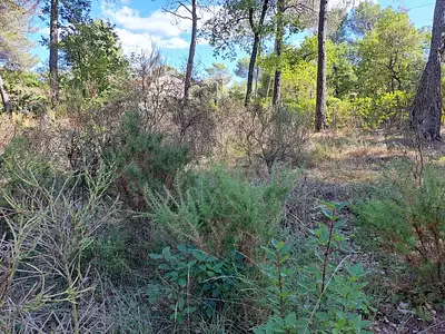 Maison neuve, 77 m²