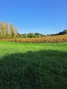 Maison neuve, 100 m²