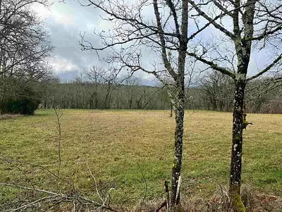 Terrain à bâtir, 3 100 m²