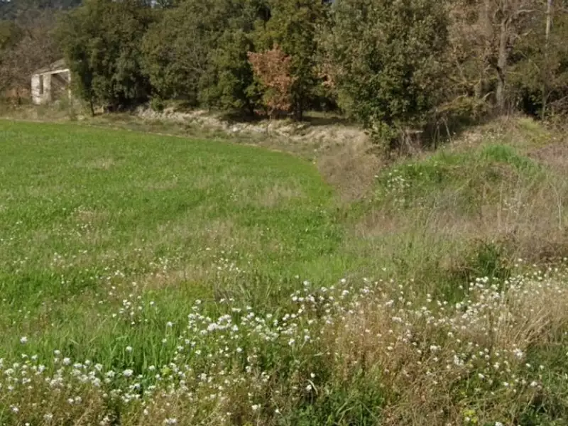 Maison neuve, 93 m² - Villeneuve (04180)