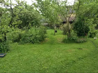 Terrain à bâtir, 616 m²