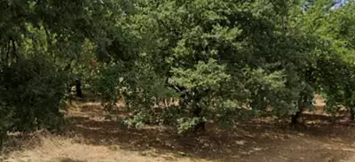 Terrain à bâtir, 651 m²