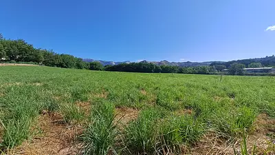 Maison neuve, 90 m²