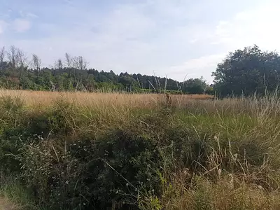 Terrain à bâtir, 1 380 m²