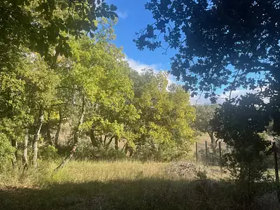 Maison neuve, 70 m²