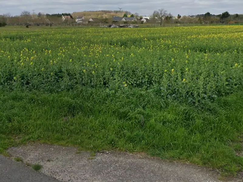 Terrain à bâtir, 700 m² - Chaingy (45380)