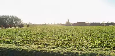 Maison neuve, 124 m²