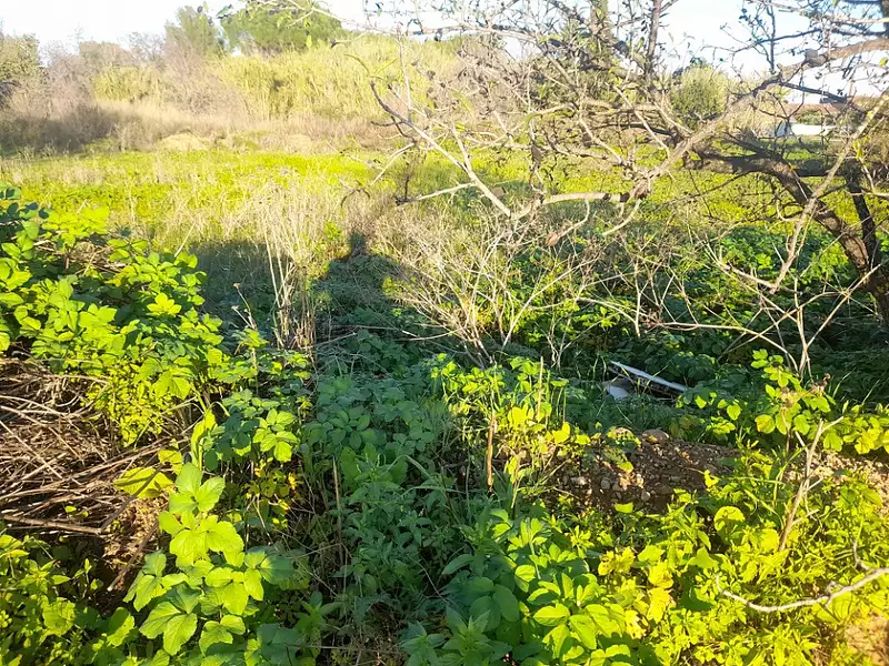Terrain à bâtir, 640 m² - Solliès-Pont (83210)