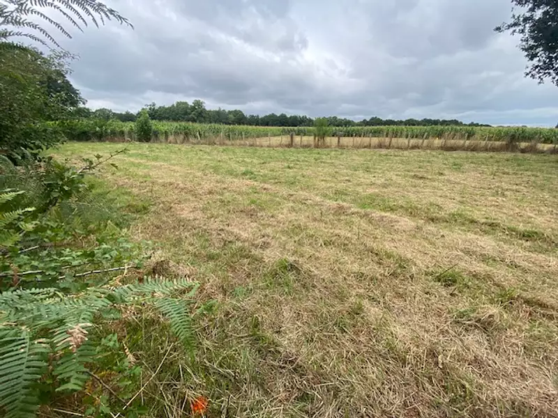 Terrain à bâtir, 900 m² - Missillac (44780)