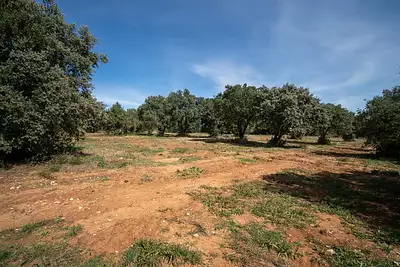 Maison neuve, 75 m²