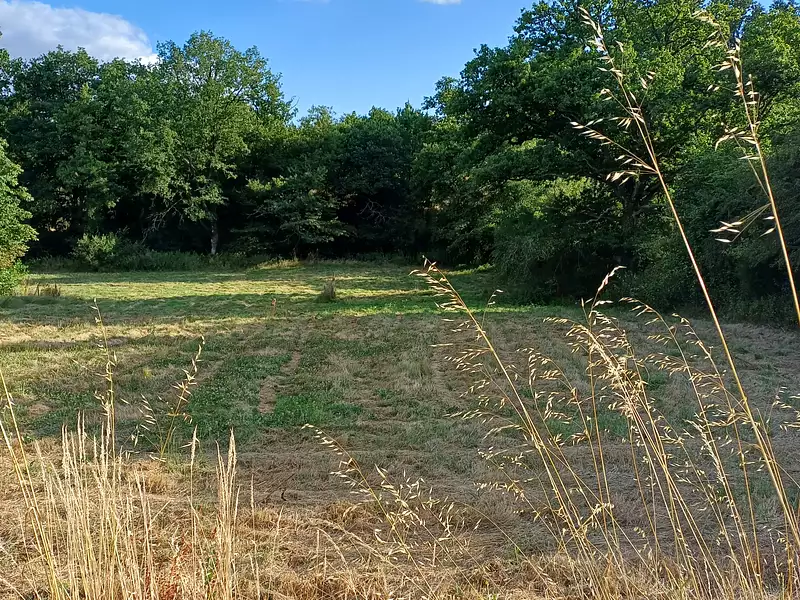 Terrain à bâtir, 520 m² - Dompierre-sur-Yon (85170)