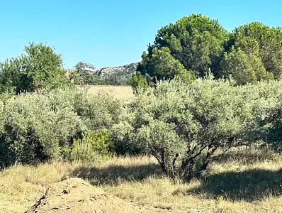 Maison neuve, 98 m²