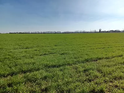 Terrain à bâtir, 350 m² - Saint-Jean-de-Liversay (17170)