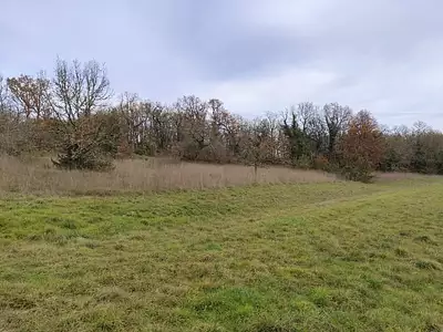 Terrain à bâtir, 16 000 m²