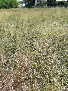 Terrain à bâtir, 349 m²